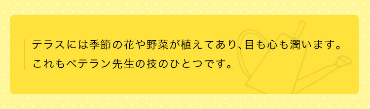 テラスには季節の花や野菜が植えてあり、目も心も潤います。これもベテラン先生の技のひとつです。